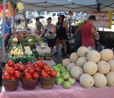 Gardening For Fresh Vegetables At Home